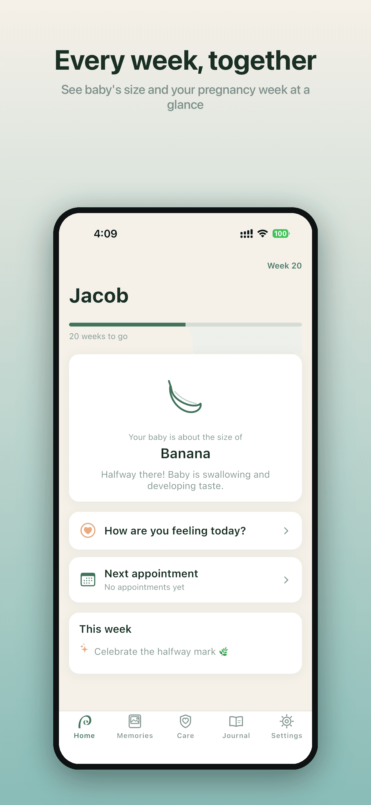 Koru — 주차별 임신 홈